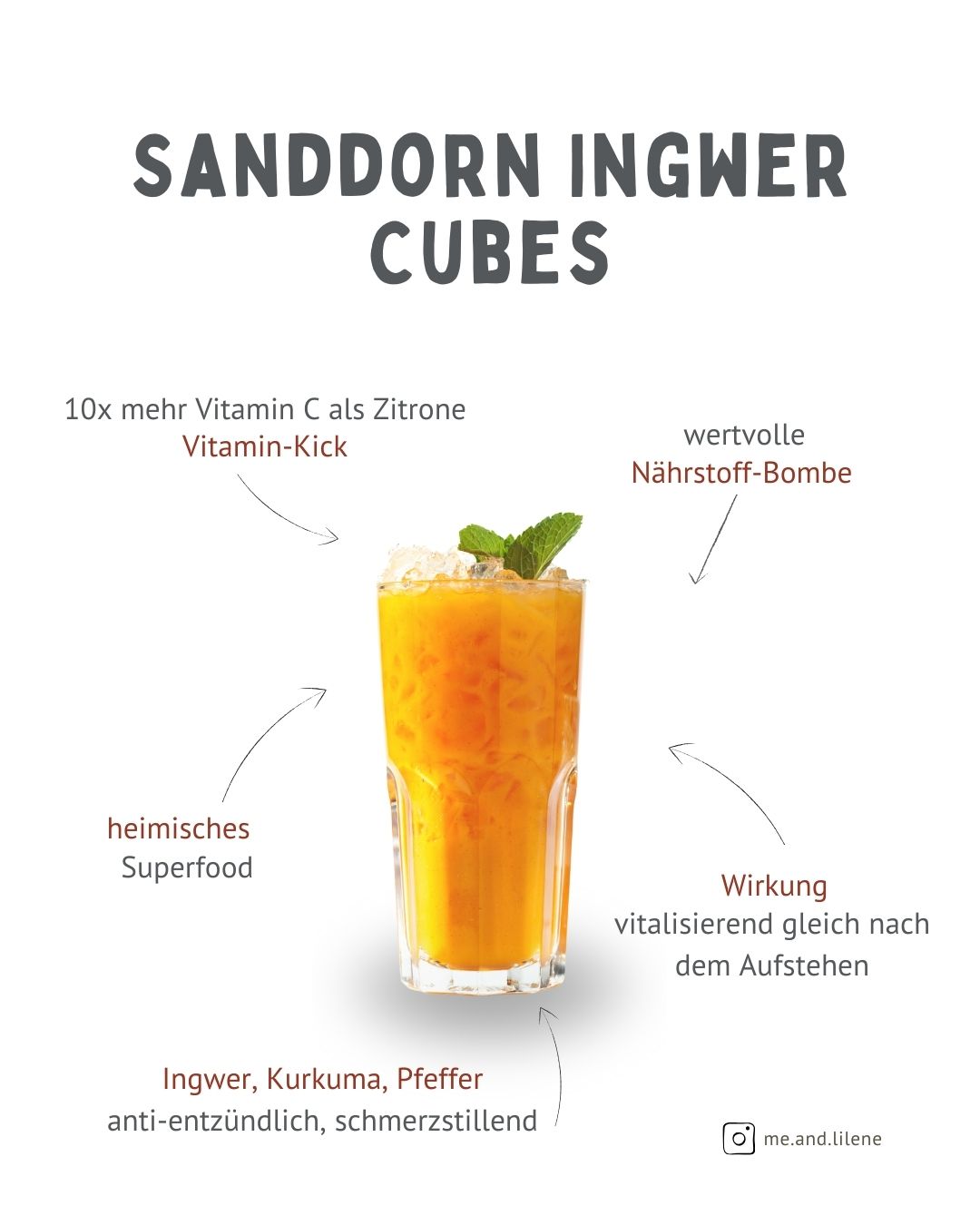 Sanddorn Ingwer Cubes