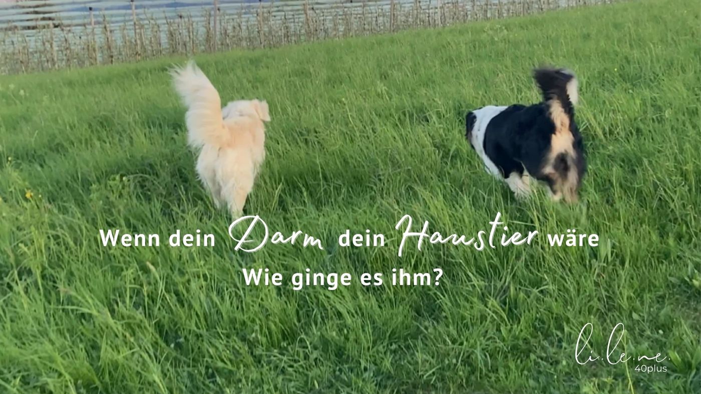Wenn dein Darm dein Haustier wäre