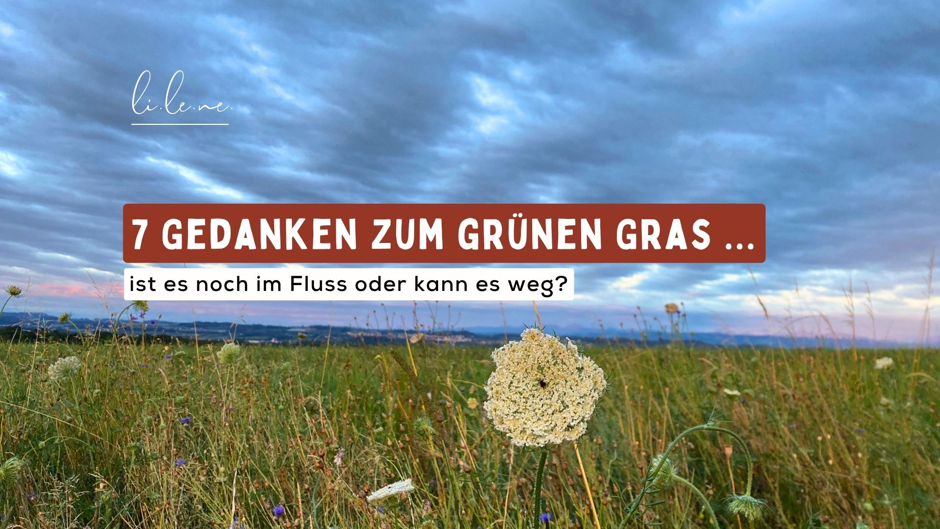 7 Gedanken zum grüneren Gras des Nachbarn  … ist es noch im Fluss oder kann es weg?