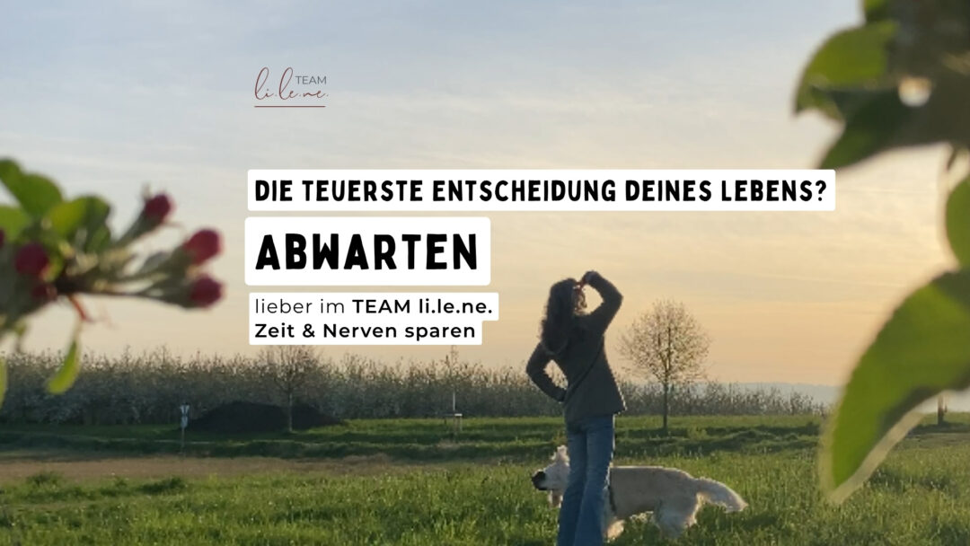 Abwarten - die teuerste Entscheidung deines Lebens - lieber im TEAM li.le.ne. Zeit und Geld sparen