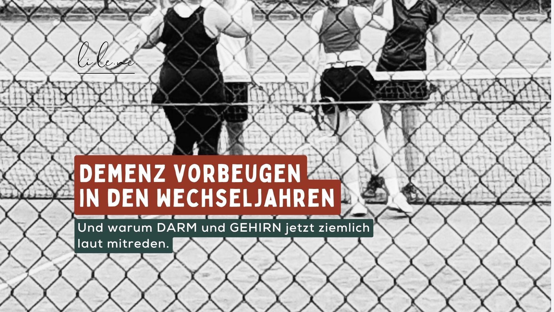 Demenz vorbeugen in den Wechseljahren: Warum dein Gehirn ab 40 anders arbeitet, was dein Darm damit zu tun hat und was du selbst tun kannst.
